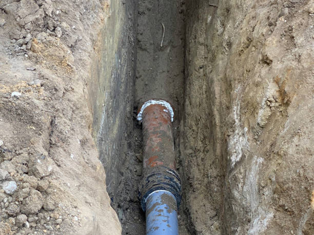 Best Flood restoration services  in Baxter, TN