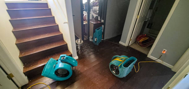 Best Water damage restoration near me  in Baxter, TN